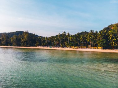 Seyahat ve tatil için adada güzel tropikal plaj ve deniz ağaçları ile havadan görünümü