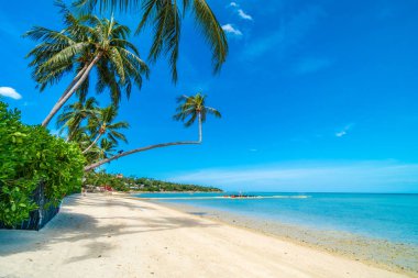 Güzel tropikal plaj deniz ve kum mavi gökyüzü ve beyaz bulut seyahat ve tatil için Hindistan cevizi hurma ağacı ile