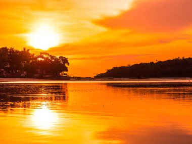Güzel tropikal plaj deniz ve okyanus ile Hindistan cevizi hurma ağacı gündoğumu zaman seyahat ve tatil için