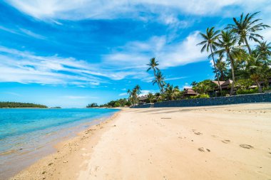 Güzel tropikal plaj deniz ve kum mavi gökyüzü ve beyaz bulut seyahat ve tatil için Hindistan cevizi hurma ağacı ile