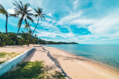 Güzel tropikal plaj deniz ve kum mavi gökyüzü ve beyaz bulut seyahat ve tatil için Hindistan cevizi hurma ağacı ile