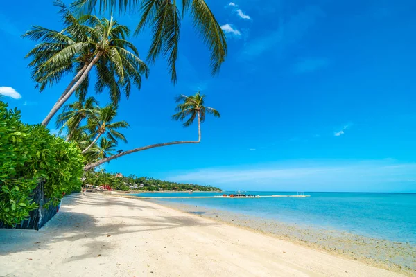 Güzel tropikal plaj deniz ve kum mavi gökyüzü ve beyaz bulut seyahat ve tatil için Hindistan cevizi hurma ağacı ile