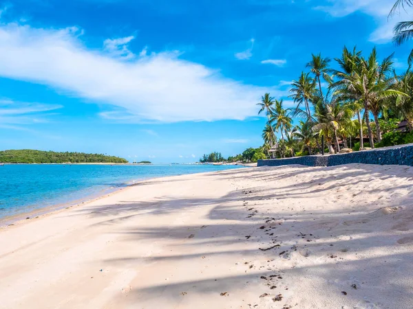 Güzel tropikal plaj ve deniz ile Hindistan cevizi hurma ağacının seyahat ve tatil