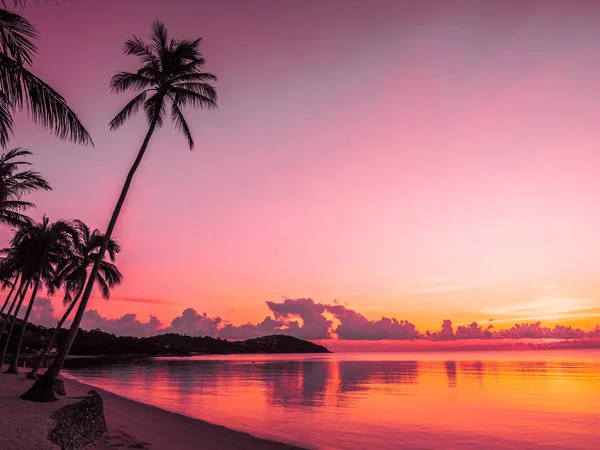 Güzel tropikal plaj deniz ve okyanus ile Hindistan cevizi hurma ağacı gündoğumu zaman seyahat ve tatil için