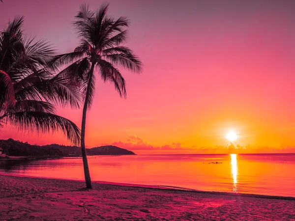 Güzel tropikal plaj deniz ve okyanus ile Hindistan cevizi hurma ağacı gündoğumu zaman seyahat ve tatil için