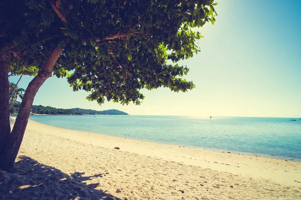 Güzel tropikal plaj ve deniz ile seyahat ve tatil için mavi gökyüzü beyaz bulut