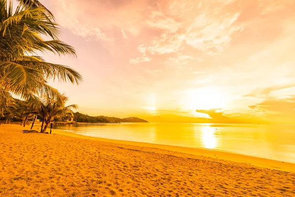 Vid Solnedgång Tropiskt Paradis Stranden Och Havet Med Coconut Palm — Stockfoto