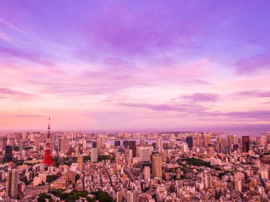 Japonya'da günbatımı zaman şehirde bina mimari ve tokyo kule güzel havadan görünümü