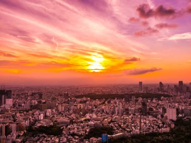 Güzel havadan görünümü, mimari ve günbatımı zaman Japonya'nın tokyo şehir etrafında bina