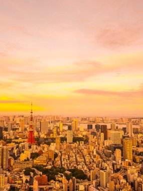 Japonya'da günbatımı zaman şehirde bina mimari ve tokyo kule güzel havadan görünümü