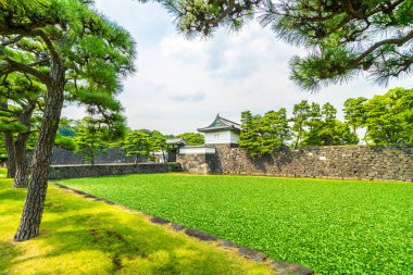 Güzel eski mimari İmparatorluk Sarayı Kalesi hendek ve Tokyo şehir Japonya köprüsünde