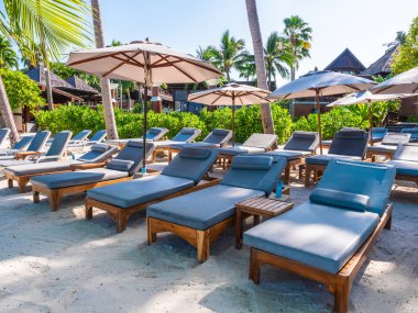 Şemsiye ve sandalyenin üstüne Hindistan cevizi hurma ağacının seyahat ve tatil etrafında mavi gökyüzü ile plaj ve okyanus