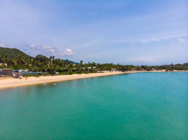 Seyahat ve tatil için adada güzel tropikal plaj ve deniz ağaçları ile havadan görünümü