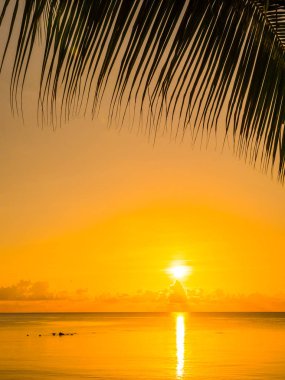 Güzel tropikal plaj deniz ve okyanus ile Hindistan cevizi hurma ağacı gündoğumu zaman seyahat ve tatil için