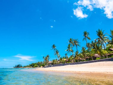 Güzel tropikal plaj ve deniz ile Hindistan cevizi hurma ağacının seyahat ve tatil