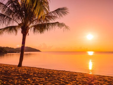 Güzel tropikal plaj deniz ve okyanus ile Hindistan cevizi hurma ağacı gündoğumu zaman seyahat ve tatil için