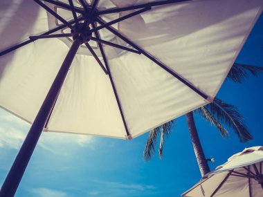 Hindistan cevizi hurma ağacı ile deniz okyanus seyahat ve tatil için mavi gökyüzü arka plan üzerinde Beyaz şemsiye