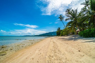 Güzel tropikal plaj deniz ve kum mavi gökyüzü ve beyaz bulut seyahat ve tatil için Hindistan cevizi hurma ağacı ile