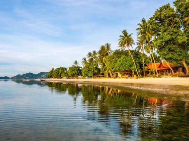 Güzel tropikal plaj ve deniz ile Hindistan cevizi hurma ağacının seyahat ve tatil