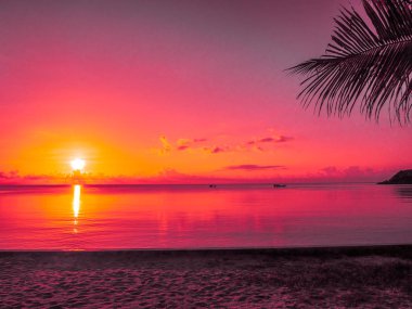 Güzel tropikal plaj deniz ve okyanus ile Hindistan cevizi hurma ağacı gündoğumu zaman seyahat ve tatil için