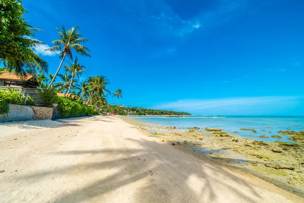 Beautiful tropical beach sea and sand with coconut palm tree on blue sky and white cloud for travel and vacation