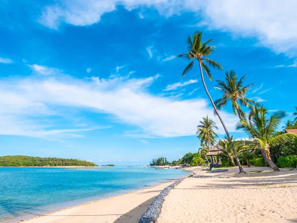 Güzel tropikal plaj ve deniz ile Hindistan cevizi hurma ağacının seyahat ve tatil