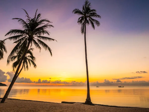 Bella Spiaggia Tropicale Mare Oceano Con Palma Cocco Sorgere Del — Foto Stock