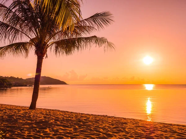 Hermosa Playa Tropical Mar Océano Con Palmera Coco Amanecer Para —  Fotos de Stock