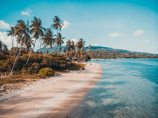 Güzel tropikal plaj ve deniz hurma ve koh samui Adası seyahat ve tatil için diğer ağacında havadan görünümü