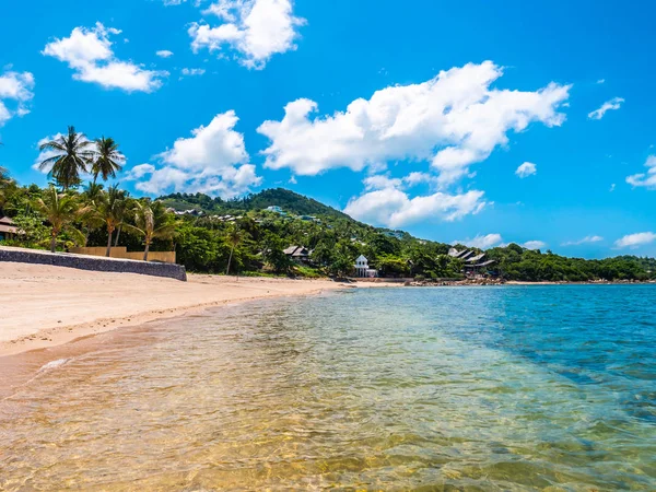 Güzel tropikal plaj ve deniz ile Hindistan cevizi hurma ağacının seyahat ve tatil