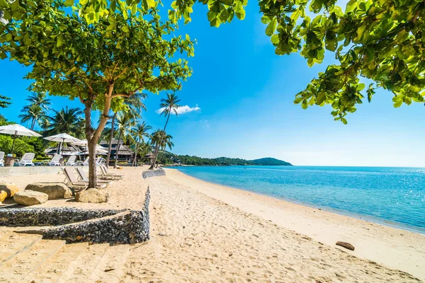 Güzel tropikal plaj ve deniz ile seyahat ve tatil için mavi gökyüzü sandalyede