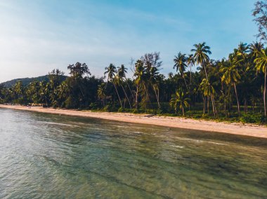 Seyahat ve tatil için adada güzel tropikal plaj ve deniz ağaçları ile havadan görünümü