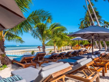 Şemsiye ve sandalyenin üstüne Hindistan cevizi hurma ağacının seyahat ve tatil etrafında mavi gökyüzü ile plaj ve okyanus