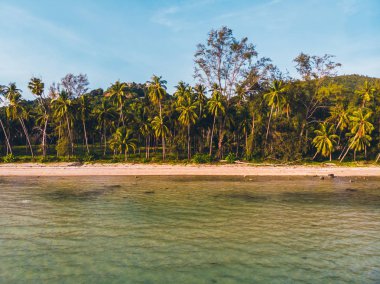 Seyahat ve tatil için adada güzel tropikal plaj ve deniz ağaçları ile havadan görünümü