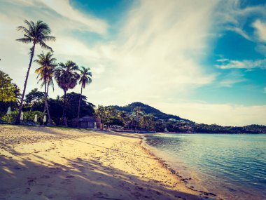 Güzel tropikal plaj ve deniz ile Hindistan cevizi hurma ağacının seyahat ve tatil