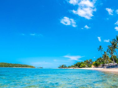 Güzel tropikal plaj ve deniz ile Hindistan cevizi hurma ağacının seyahat ve tatil
