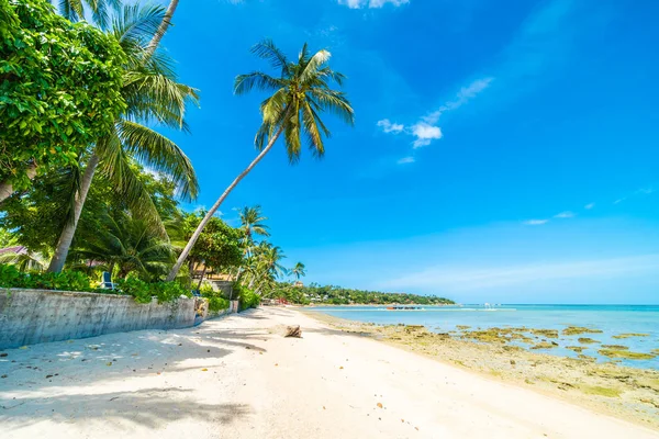 Tropisch Strand Zee Zand Met Coconut Palm Tree Blauwe Hemel — Stockfoto