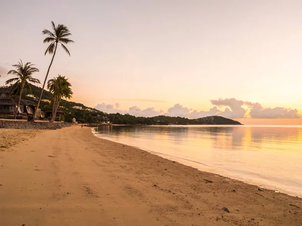 Schöner Tropischer Strand Meer Und Ozean Mit Kokospalmen Bei Sonnenaufgang — Stockfoto