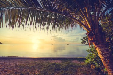 Günbatımı zaman tropik cennet ada plaj ve deniz ile Hindistan cevizi palmiye ağacı üzerinde tatil ve tatil için