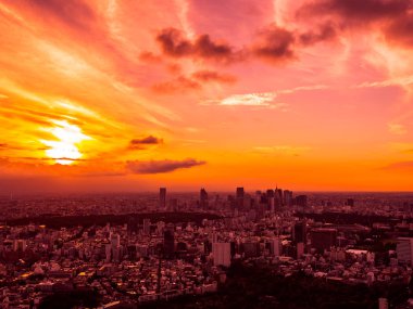 Güzel havadan görünümü, mimari ve günbatımı zaman Japonya'nın tokyo şehir etrafında bina