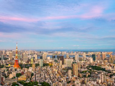 Japonya'da günbatımı zaman şehirde bina mimari ve tokyo kule güzel havadan görünümü