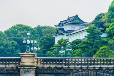 Güzel eski mimari İmparatorluk Sarayı Kalesi hendek ve Tokyo şehir Japonya köprüsünde