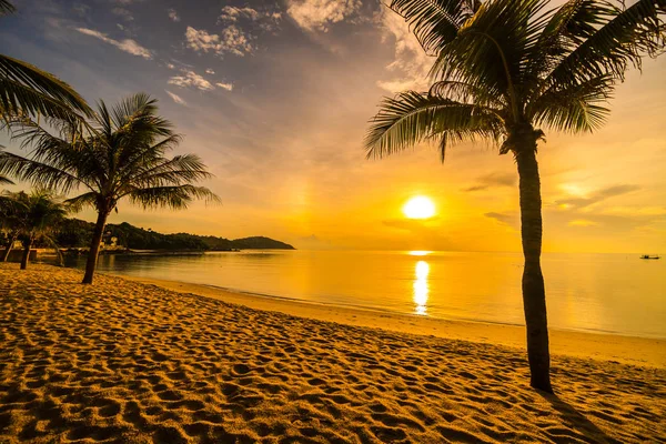 Vid Solnedgång Tropiskt Paradis Stranden Och Havet Med Coconut Palm — Stockfoto