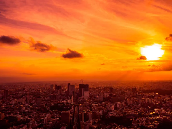 Красиві Пташиного Польоту Архітектурно Будівельні Навколо Місто Токіо Sunset Час — стокове фото