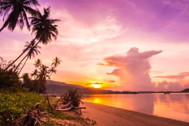 Güzel açık görünüm ea okyanus ve plaj tropikal Hindistan cevizi hurma ağacı gündoğumu zaman tatil tatil ve seyahat için