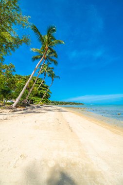Güzel tropikal plaj deniz ve kum mavi gökyüzü ve beyaz bulut seyahat ve tatil için Hindistan cevizi hurma ağacı ile