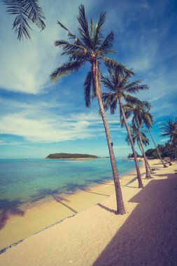 Güzel tropikal plaj deniz ve kum mavi gökyüzü ve beyaz bulut seyahat ve tatil için Hindistan cevizi hurma ağacı ile