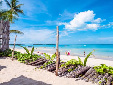 Güzel tropikal plaj deniz ve okyanus seyahat etmek ve kopya alanı ile tatil için