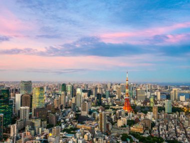 Japonya'da günbatımı zaman şehirde bina mimari ve tokyo kule güzel havadan görünümü