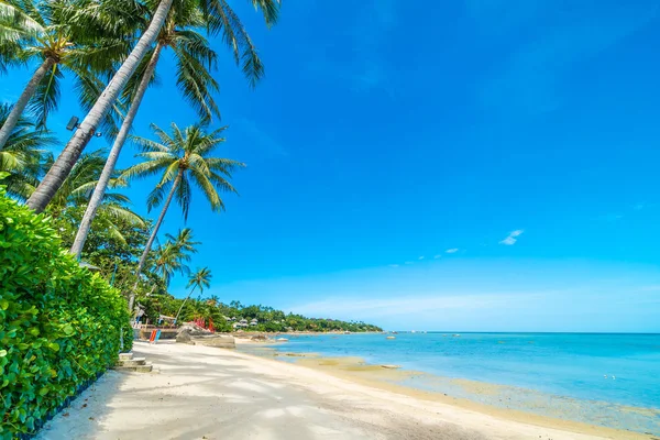 Beautiful tropical beach sea and sand with coconut palm tree on blue sky and white cloud for travel and vacation